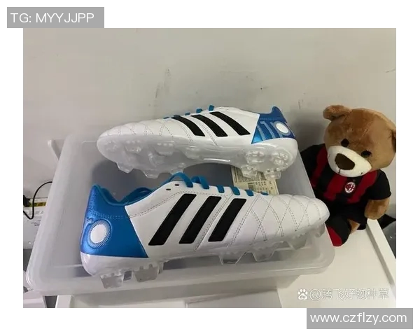 顶级球星推荐的足球鞋排名与选购指南 让你踢得更快更精准